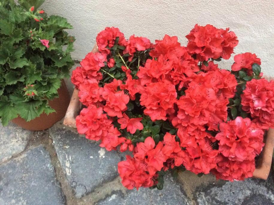 דירות סירקוזה Giudecca Mia מראה חיצוני תמונה